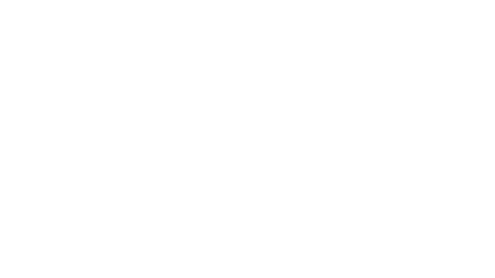 Diamond Needles Logo